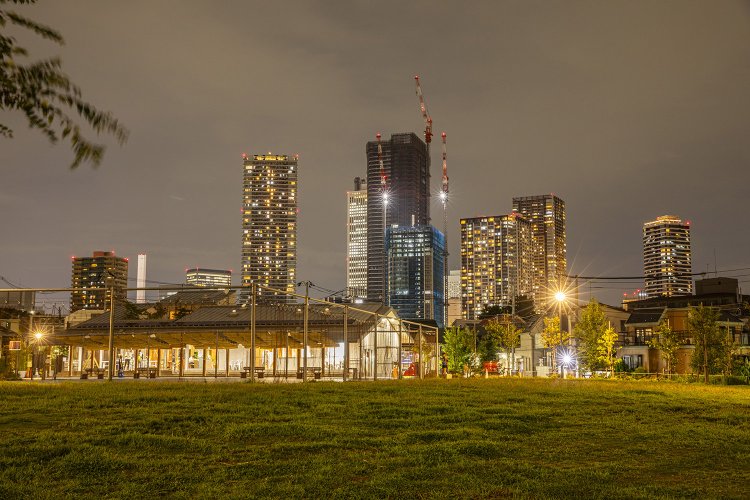 雑司が谷公園の原っぱから見た池袋のビル群の夜景。