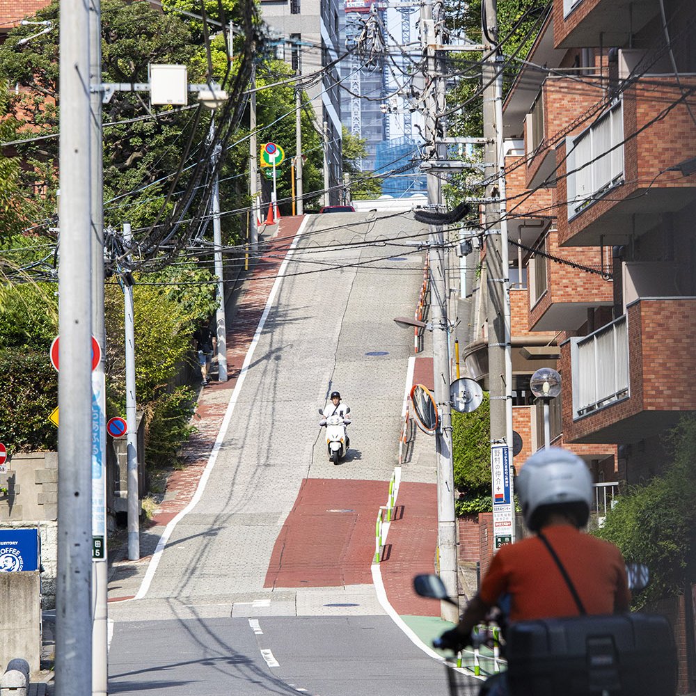 目白・雑司が谷さんぽのおすすめ6スポット。健やかな空気で、ごきげんよう