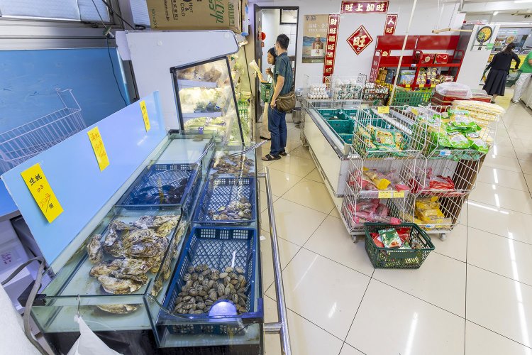 散歩の達人2025年11月号