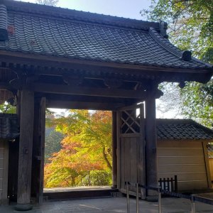 晩秋の鎌倉エリアで紅葉散歩。地理や防災に注目して、いつもと違った視点で歩いてみよう