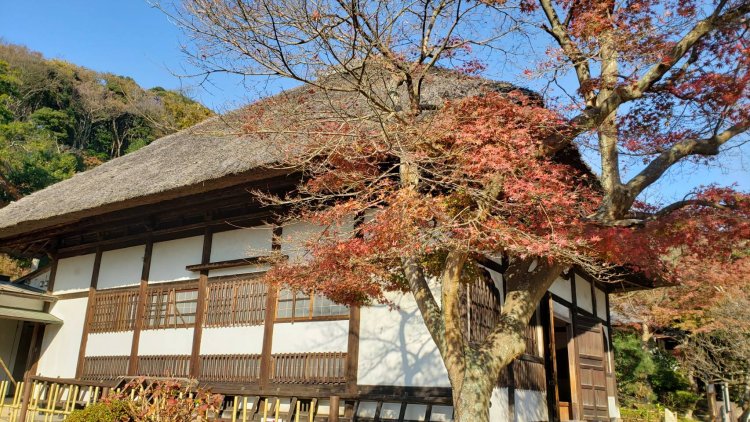 快晴の空の下、紅葉を眺めながらゆったり歩く豊かな時間を。