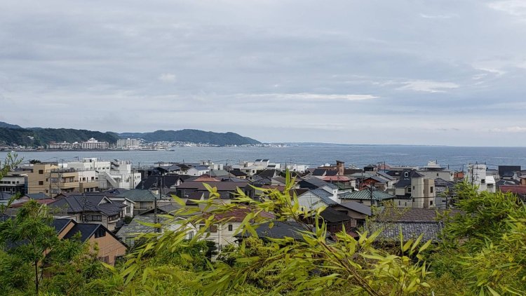 小高い山から見下ろした鎌倉の海。自然の風景に心癒やされる。