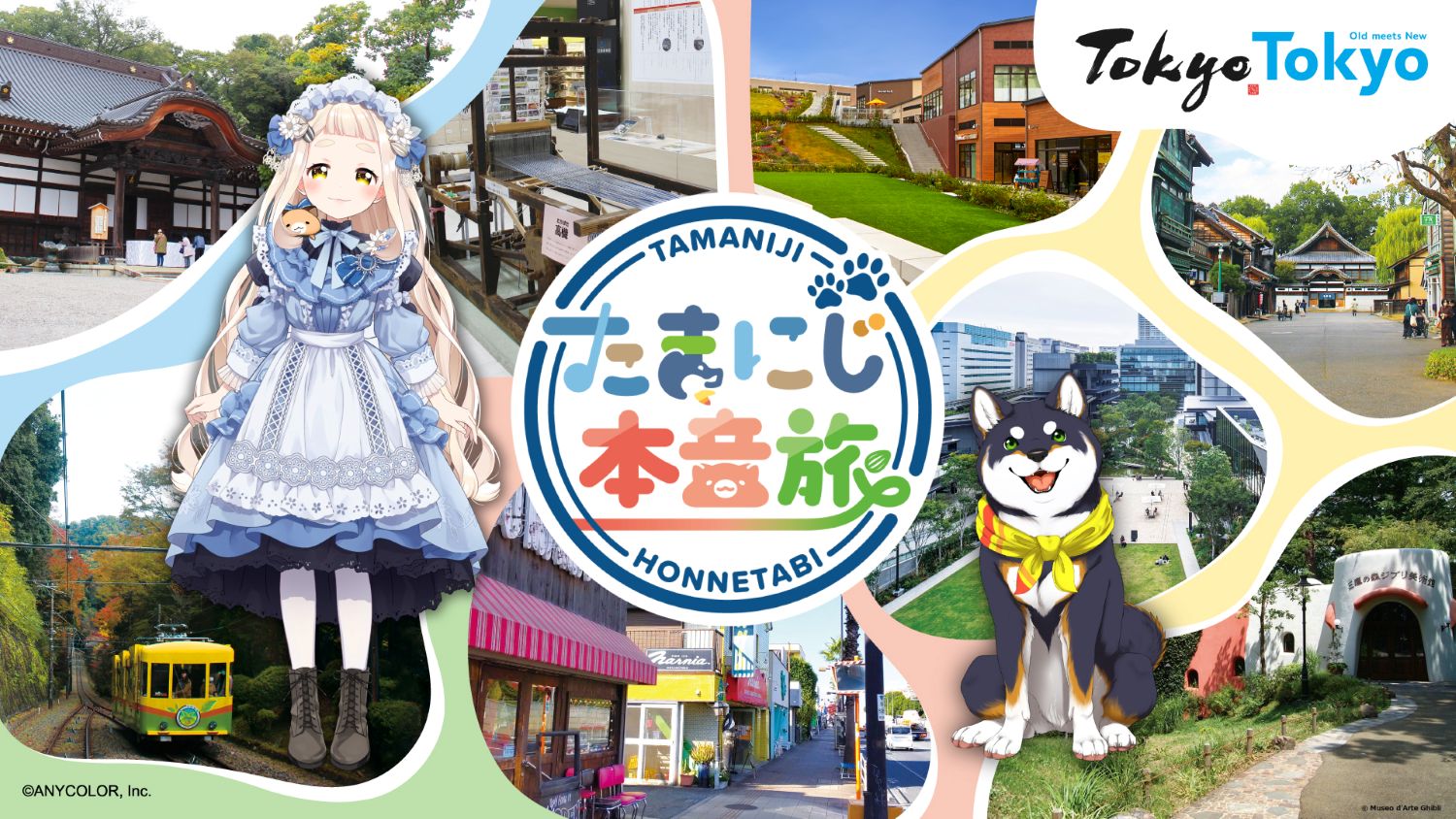 （修正）メイン画像