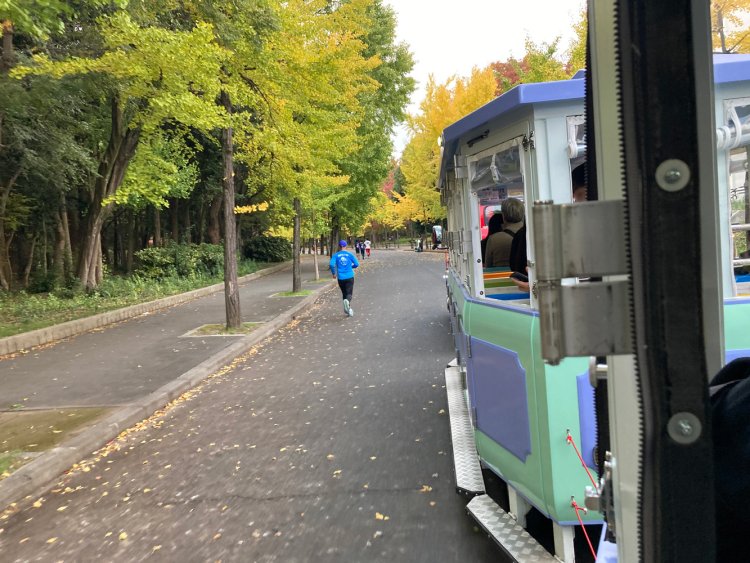 歩く人、走る人、ロードトレインに乗る人。