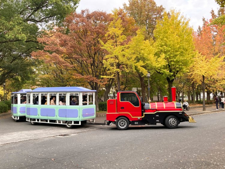 大阪城公園内をゆっくりと走るロードトレイン。