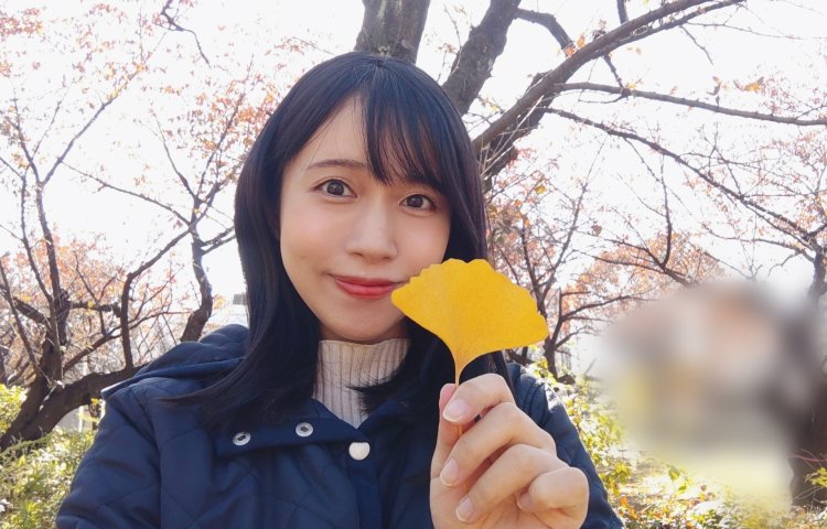 そろそろ落葉の季節、鮮やかなイチョウの葉。