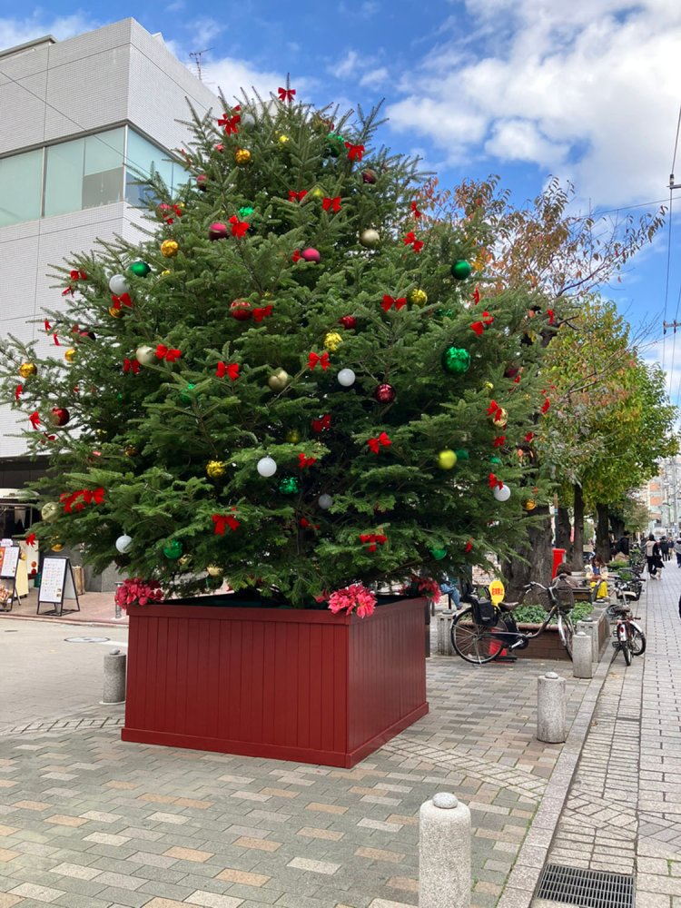 九品仏川緑道沿い。撮影時は1本だけクリスマスツリーのような飾りが付けられ、華やかな雰囲気になっていた。