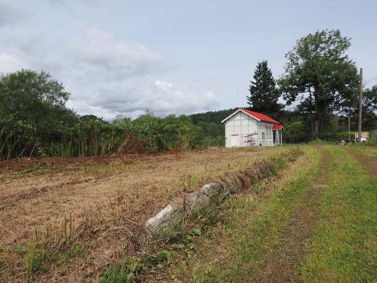 手前のコンクリート構造物が貨物用ホームの痕跡。