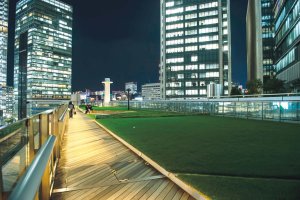 K I T T Eガーデン2