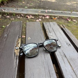 自分はVIPだと勘違いして散歩【もう、普通の散歩には飽きている／ワクサカソウヘイ】