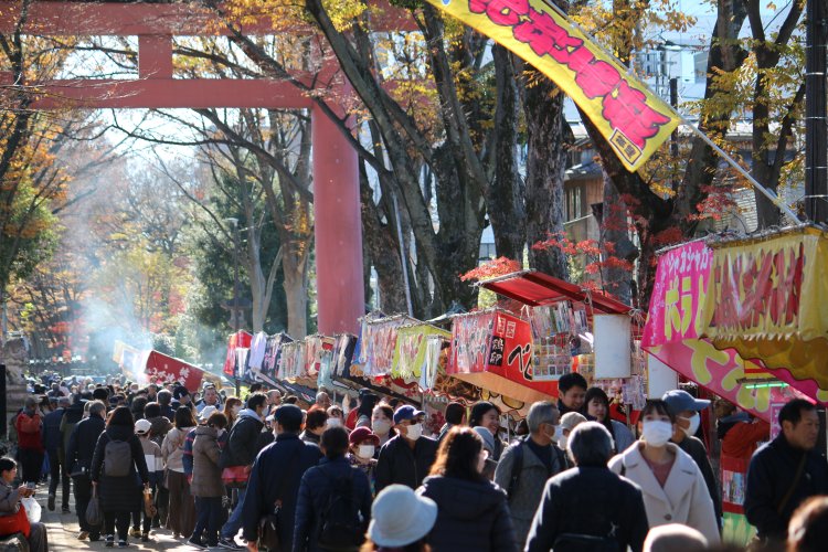 日本一長い参道として知られる武蔵一宮氷川神社の氷川参道。二の鳥居から境内までの参道には食べ物の露店が軒を連ねる。