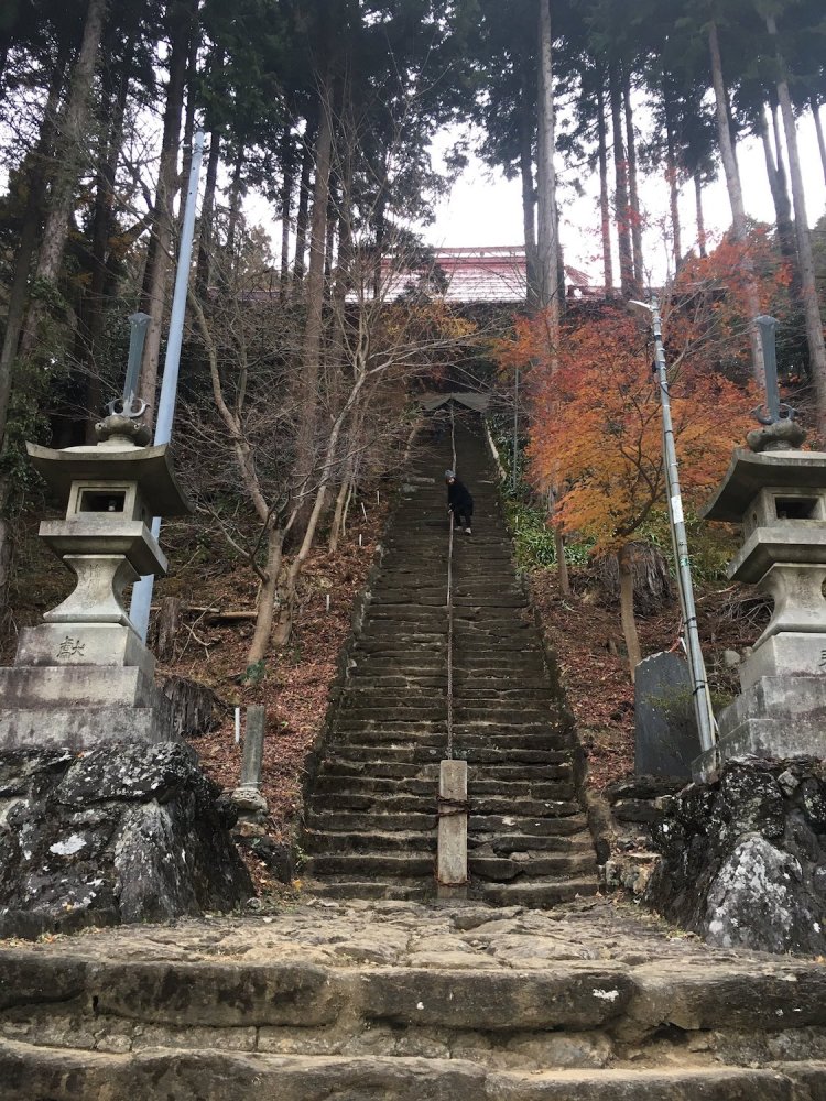 長い階段も秘仏拝観のために頑張って！