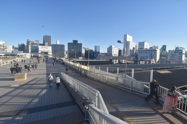 パンダ橋を渡り上野公園へ。空の広さに感激。