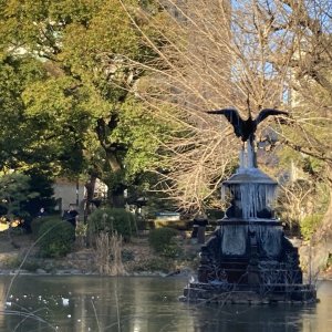 「初霜」「初氷」の基準って？ 冬の散歩で“初”に出合うには天気予報のここに注目！