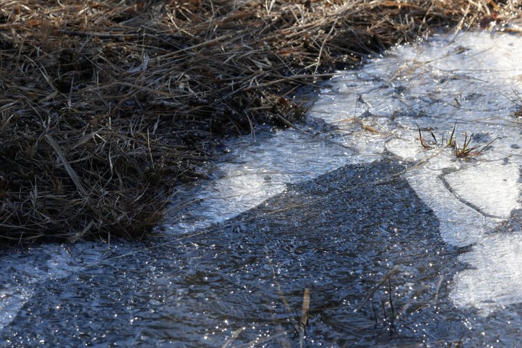 水たまりに張った氷。すべらないように気を付けて（画像＝写真AC）。