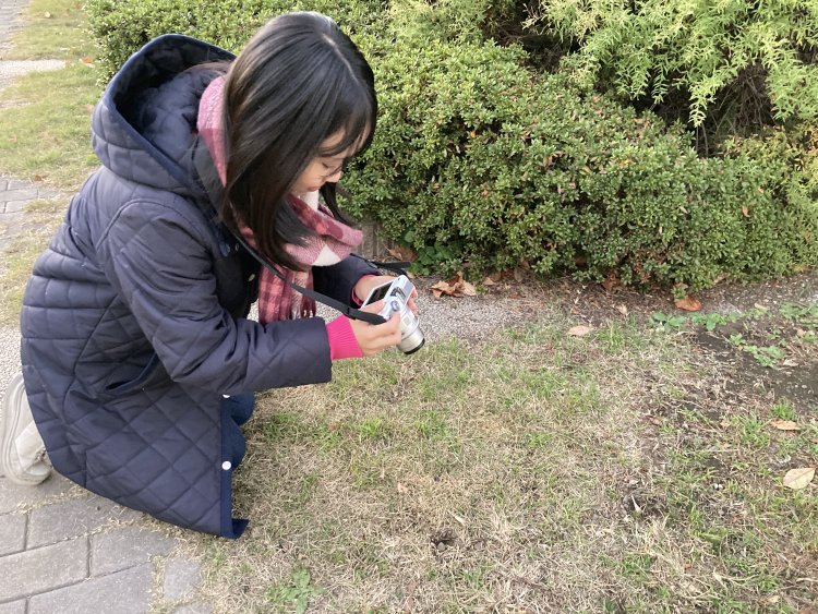 冷えた地面付近を観察するも、この日は霜が降りるほどの冷え込みにはならず……。
