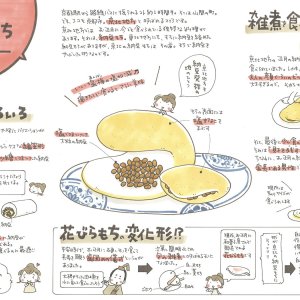 京都市北部では雑煮の代わりに「納豆もち」を食べる？ 砂糖入り、塩味、ロール状…いろいろ