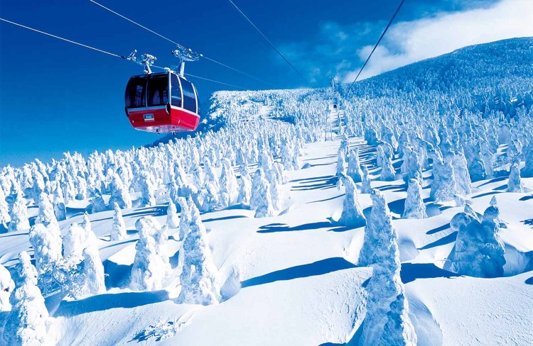 蔵王ロープウェイの山頂線は樹氷観賞の特等席（写真=蔵王ロープウェイ）。
