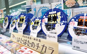 【旅の手帖】いとく男鹿ショッピングセンター_13_1