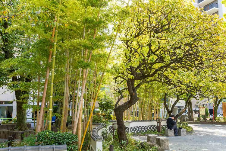 ラジオ体操発祥の地といわれる松葉公園。