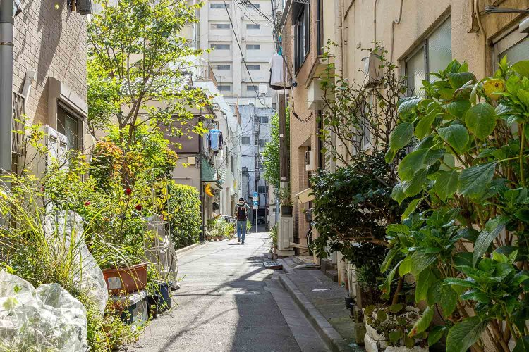 風情のある路地裏の風景。