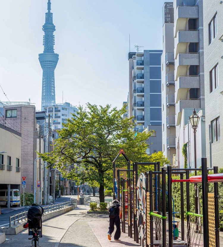 山谷堀公園からスカイツリーを望む。
