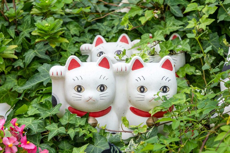 招き猫発祥の地としても有名。