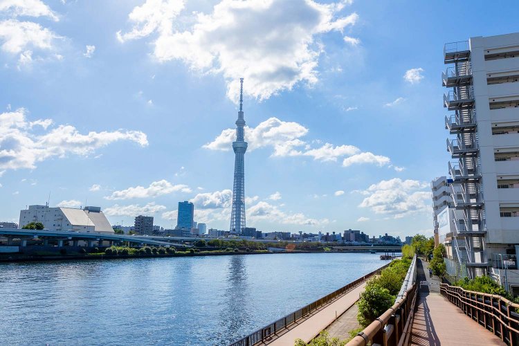 橋場付近。隅田川の向こうにスカイツリー。