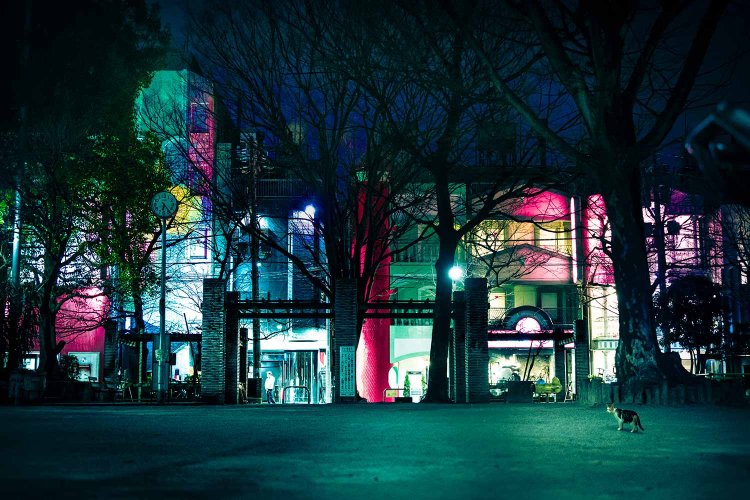 吉原公園（写真＝紅子）。