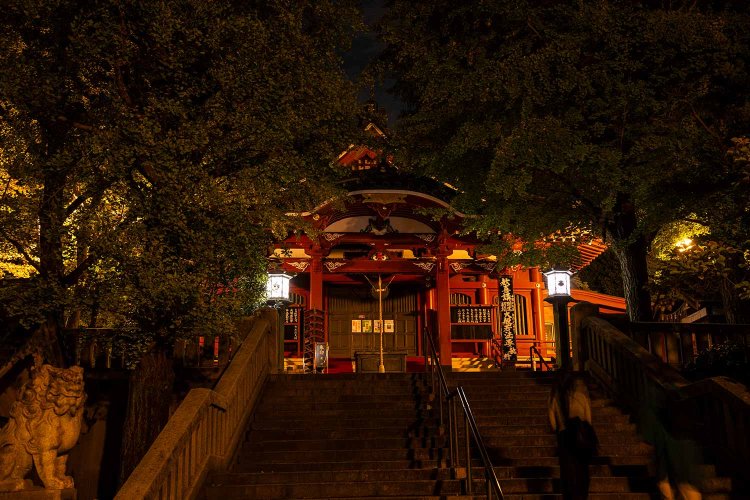 静けさの中に楽しさがある。