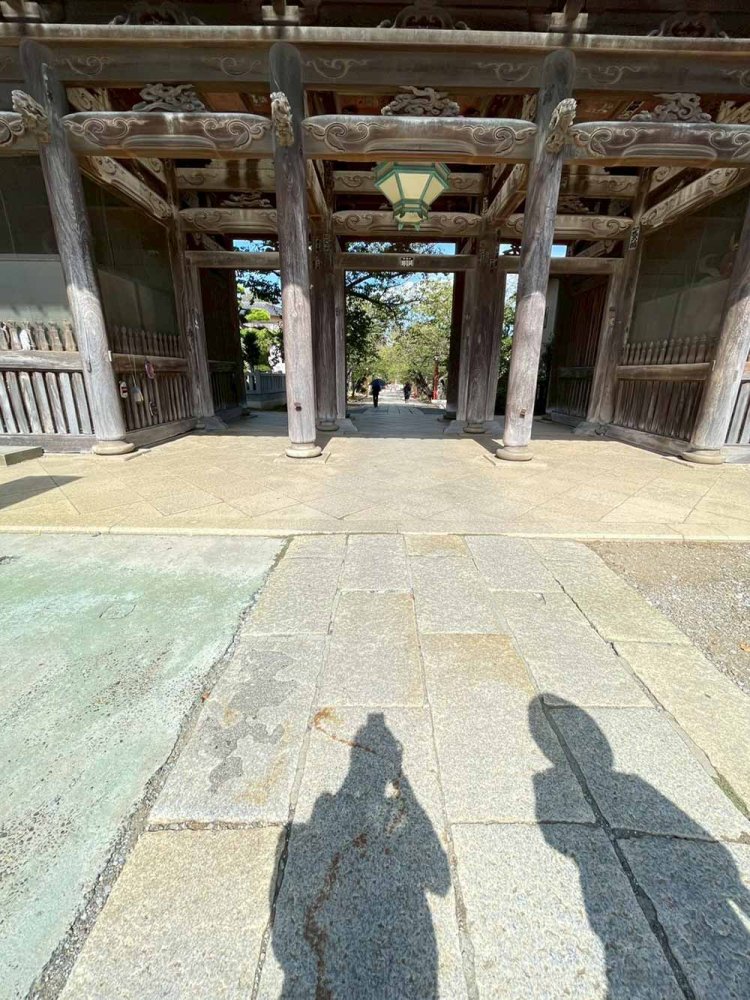 中山法華経寺／歴史と自然が調和する名刹。写真の先に国指定重要文化財の祖師堂、五重塔、大仏など。