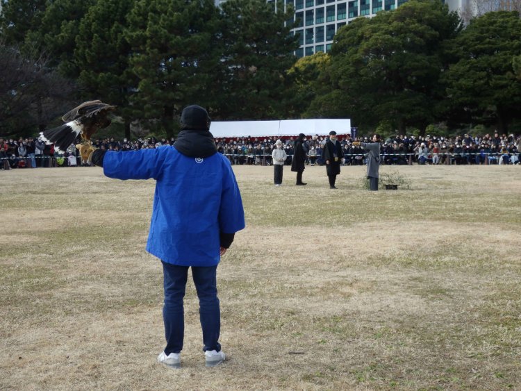 『浜離宮恩賜庭園』では「新春の空に鷹が舞う！放鷹術の実演」を開催（写真は過去開催時の様子）。