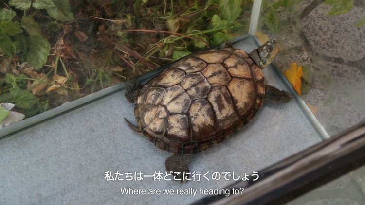 百瀬文×イム・フンスン《交換日記》2015-18年 ビデオ 64分 個人蔵。