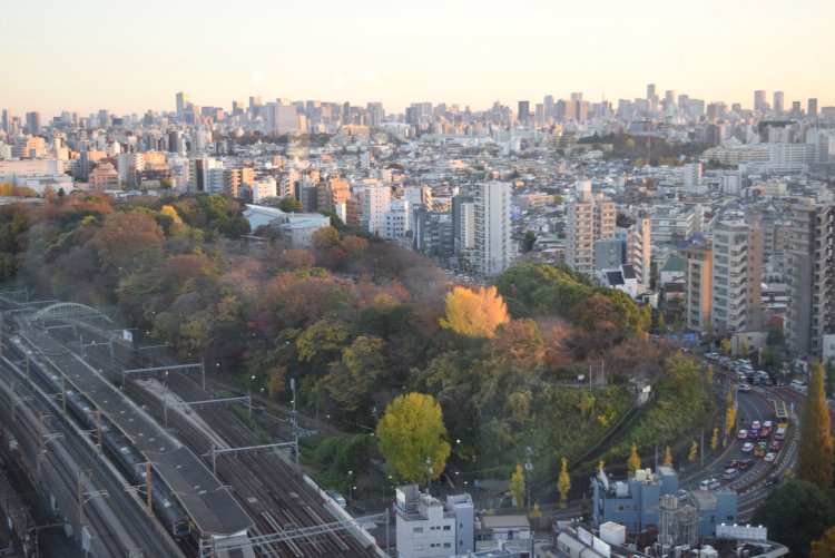 『北とぴあ』の展望ロビーから飛鳥山公園を眺める。