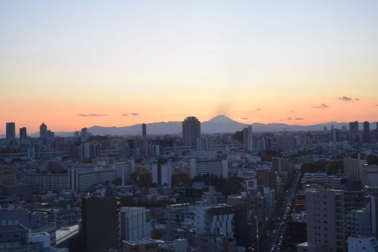 ここで富士山に出会えるとは思わなかった。