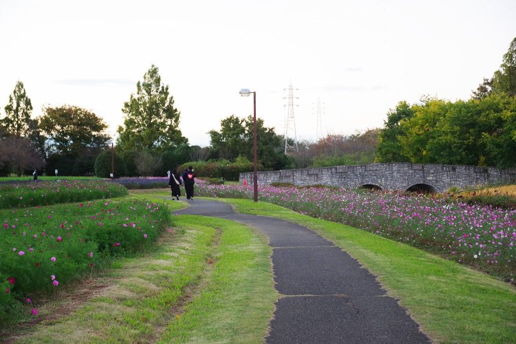 朝の散歩も気持ちよさそう。