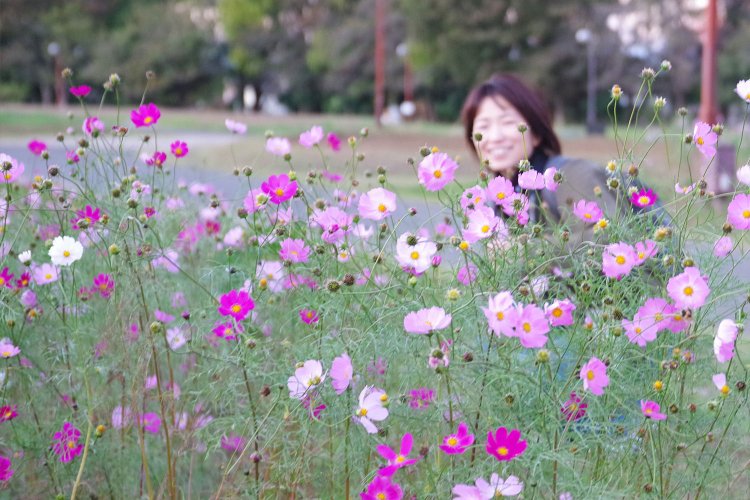 とても素敵な写真が撮れます！