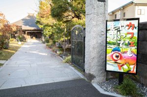 【散歩の達人】安国院_3