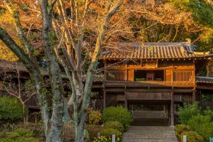 【散歩の達人】中山法華経寺_3