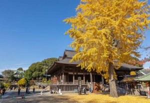 【散歩の達人】中山法華経寺_5