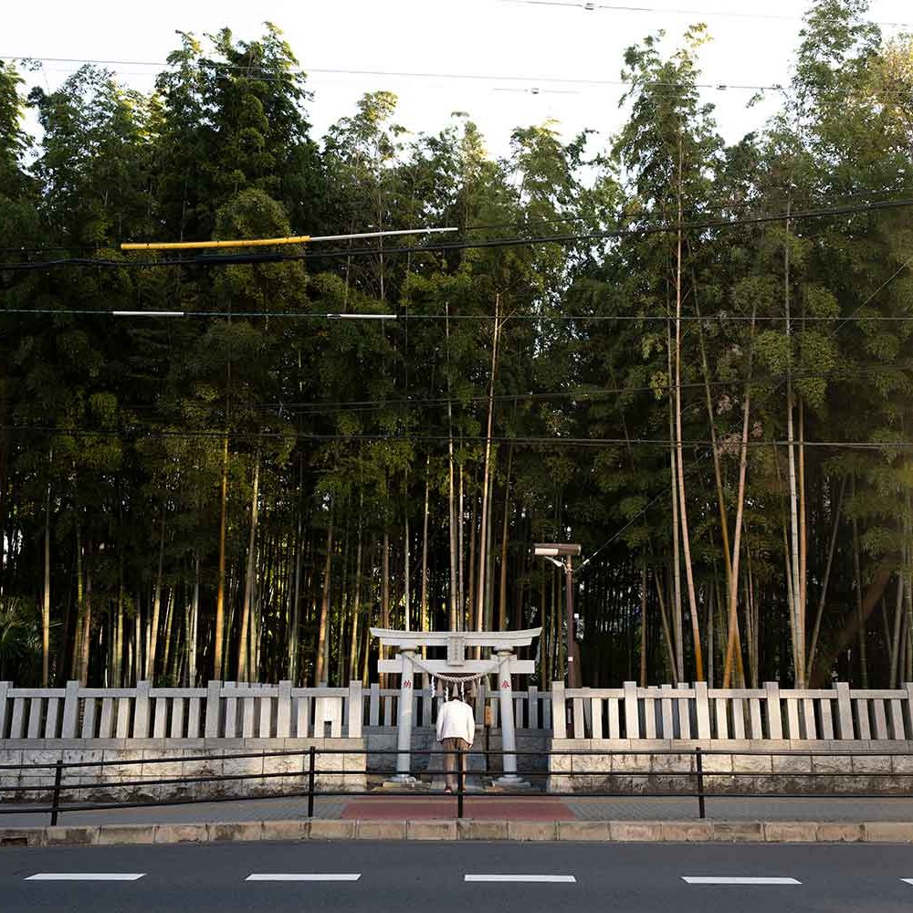 「夜泣き石」「真間の手児奈」……市川にはなぜ民話が多いのか？ 「市川民話の会」の会長に聞いてみた