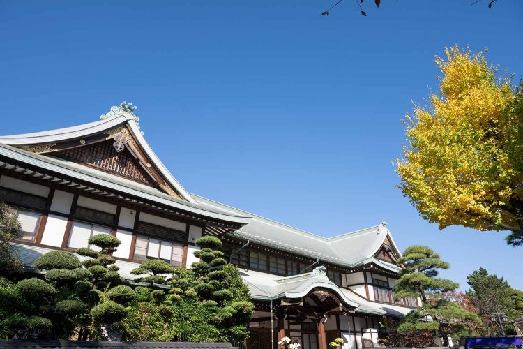 重厚な影向殿（客殿）は1997年に再建。