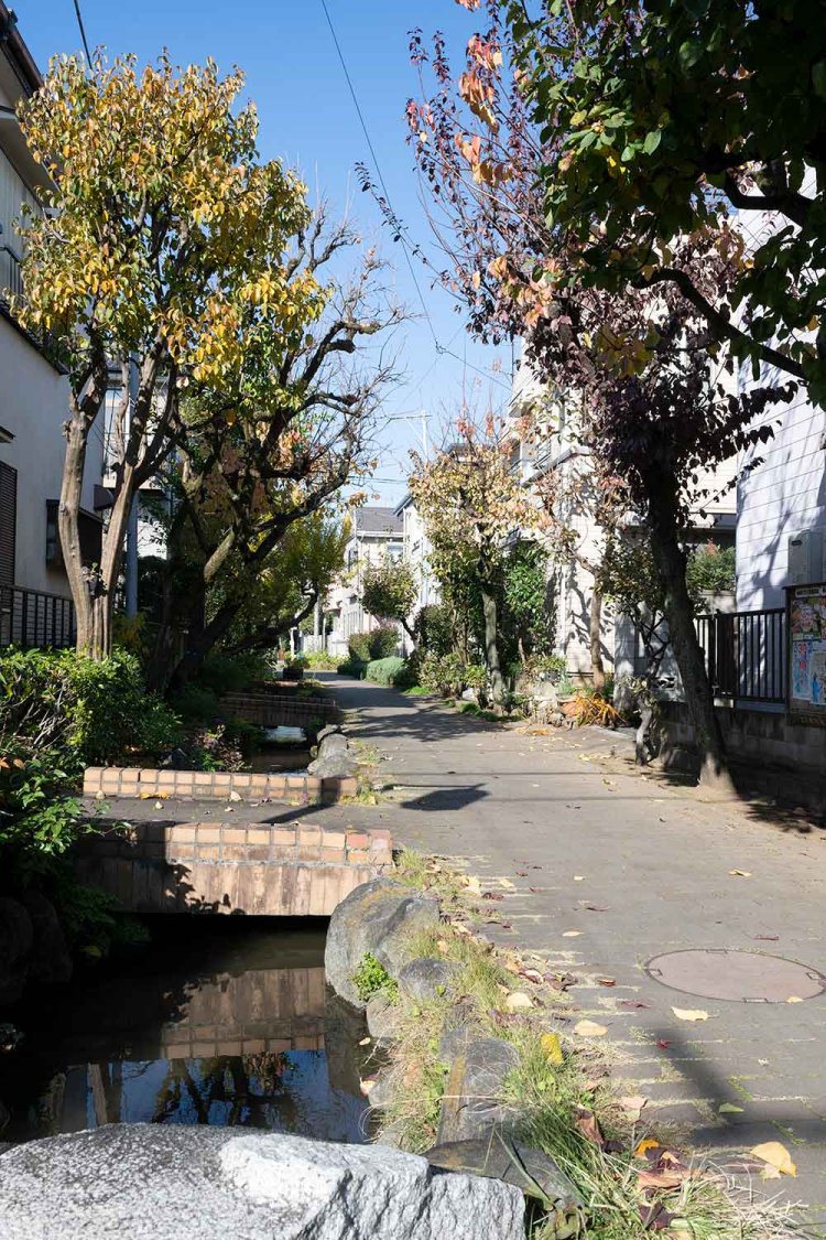 上小岩遺跡周辺にある親水緑道 。