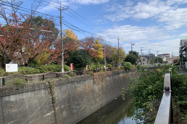 緑が豊かな池上本門寺一帯。