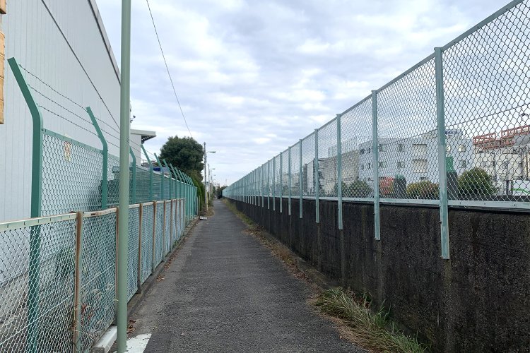 フェンスに挟まれる緑道、というより通路。不安感が増す。