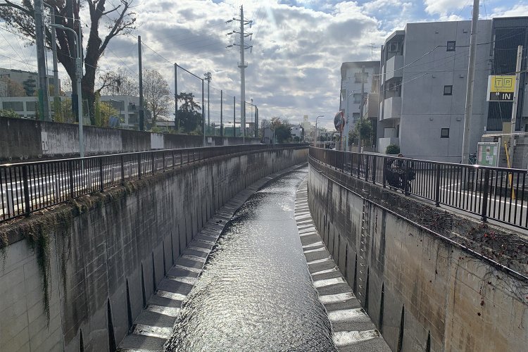 呑川をたどる大田区横断の旅へ。海まで歩いて見えてきたのは、街の人に愛される川の姿