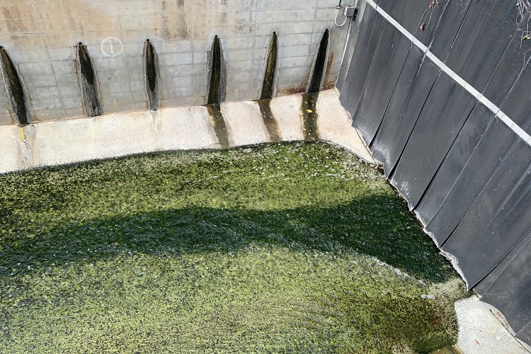 工大橋あたりからが開渠部分のはじまりだ。