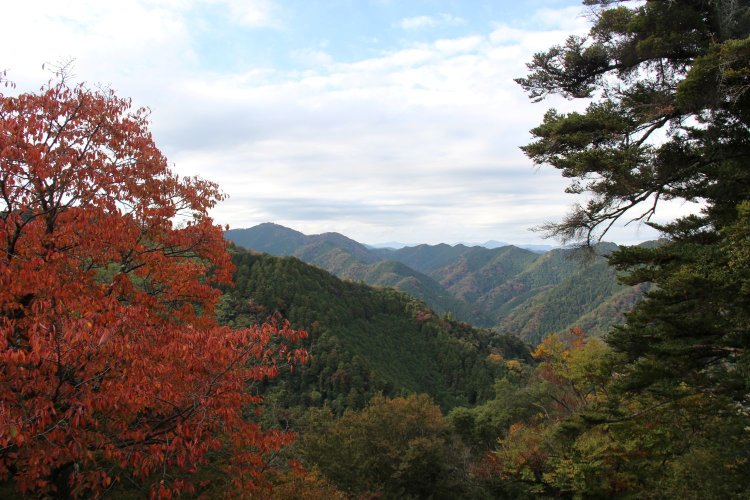 山々が連なる中腹からの眺め。
