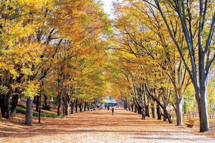 鶴間公園は、四季折々の自然が見どころ。