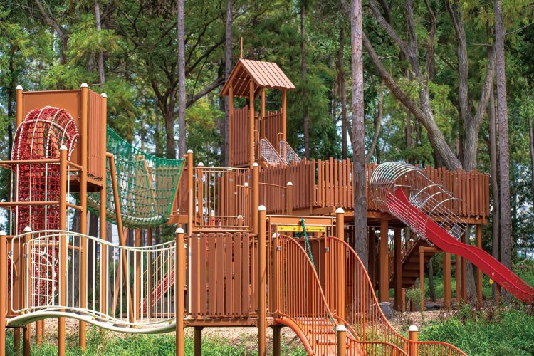 大型遊具があり、森の中で自由に遊べる。